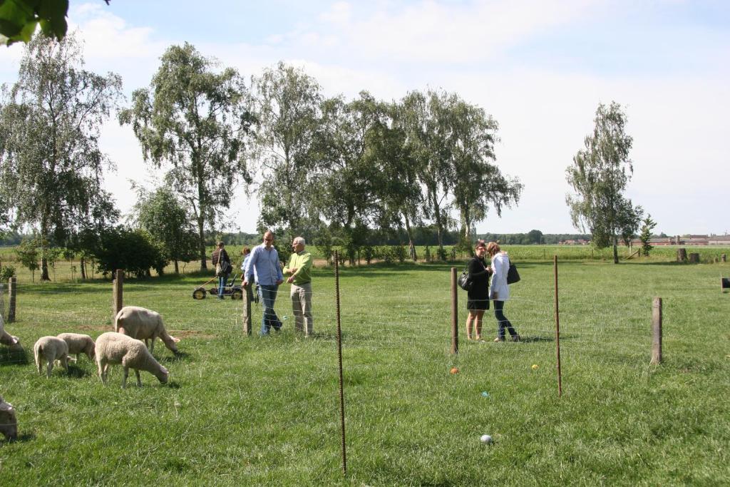 B&B Artiriacumhoeve Zedelgem Kültér fotó